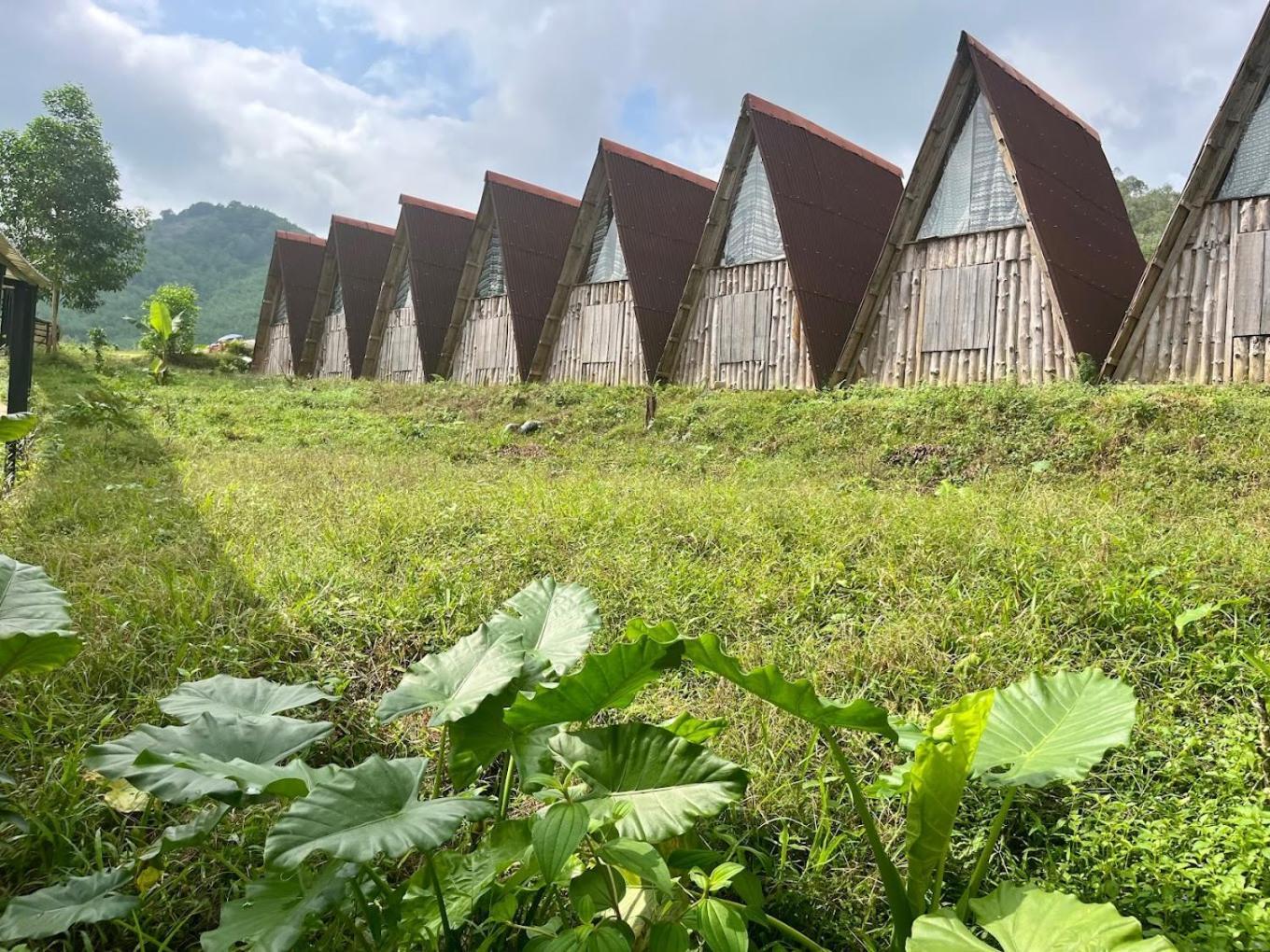 Nguyen Shack Retreat Resort Phong Nha Zewnętrze zdjęcie